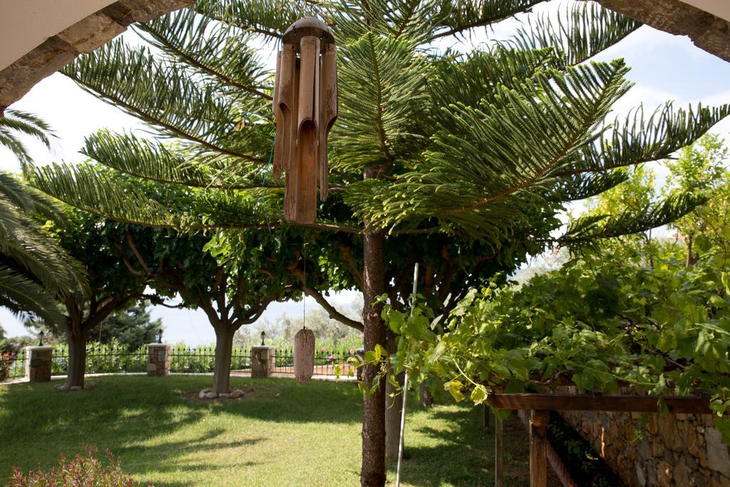 Alonissos Muses Villas Kalamakia Dış mekan fotoğraf